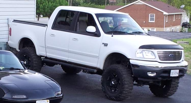 2001 Ford f150 headlight covers #7